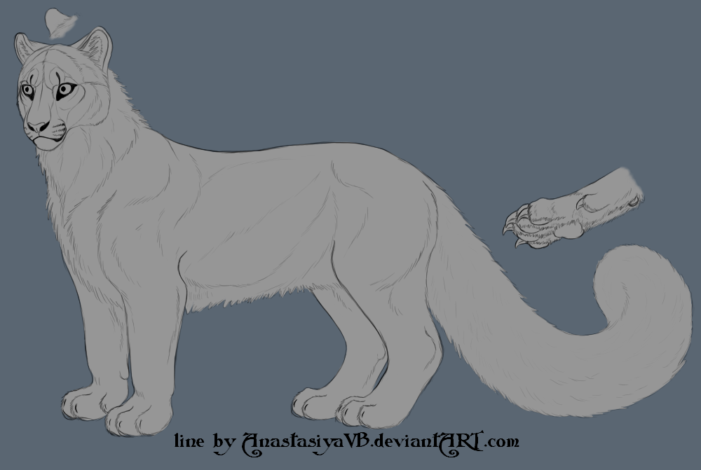 FREE snow leopard line v1.1 by AnastasiyaVB on DeviantArt