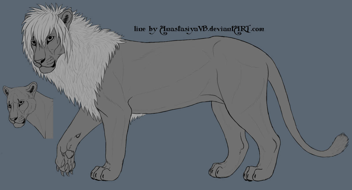 FREE lion/lioness line v1 by AnastasiyaVB on DeviantArt