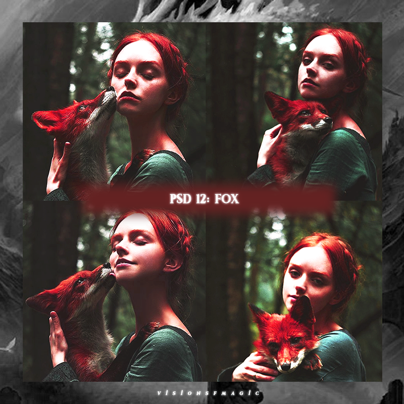 Psd 12 | Fox by visionsofmagic on DeviantArt