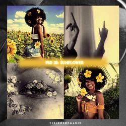 Psd 20 | Sunflower