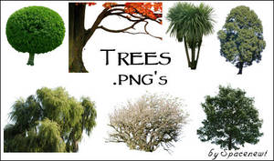 Trees - Transparent .pngs