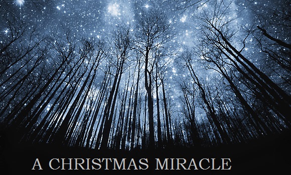 Rampage series picture