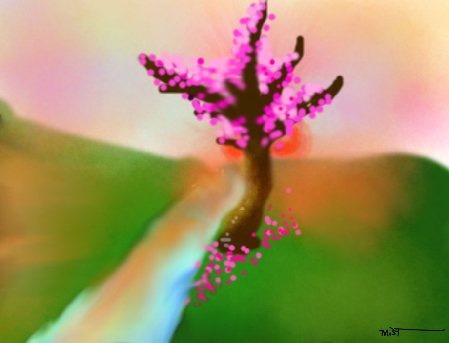 Cherry blossom sunset by xXRisenFromTheMistXx on DeviantArt
