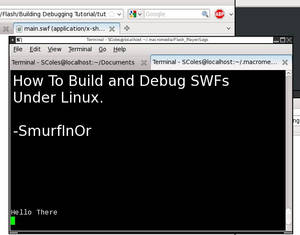 Building and Debugging SWFs