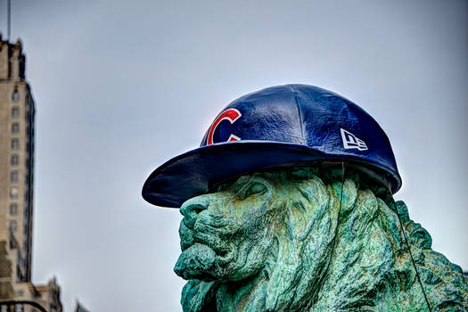 Chicago Cubs hat on Art Institute lion