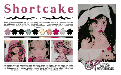 [ PSD 120 ] SHORTCAKE