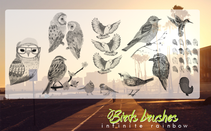 Bird brushes.