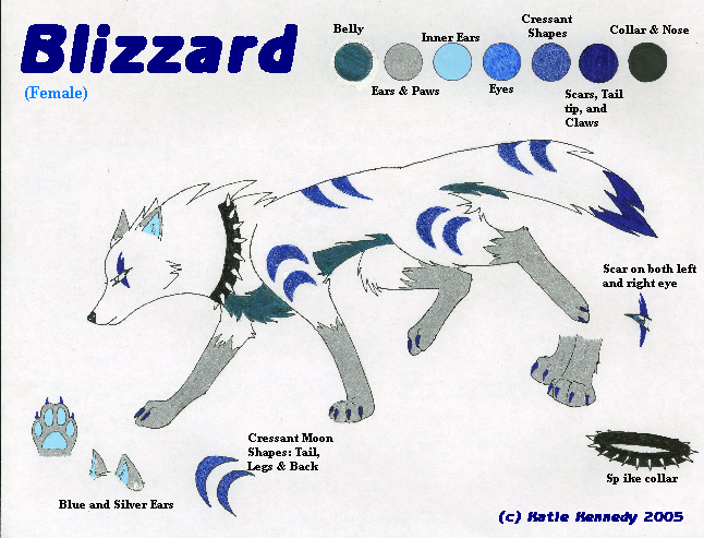 Blizzard Character Sheet