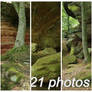 Altschlossfelsen Stock PACK 2