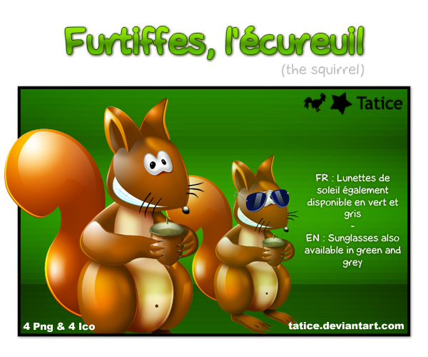 Furtiffes l'ecureuil