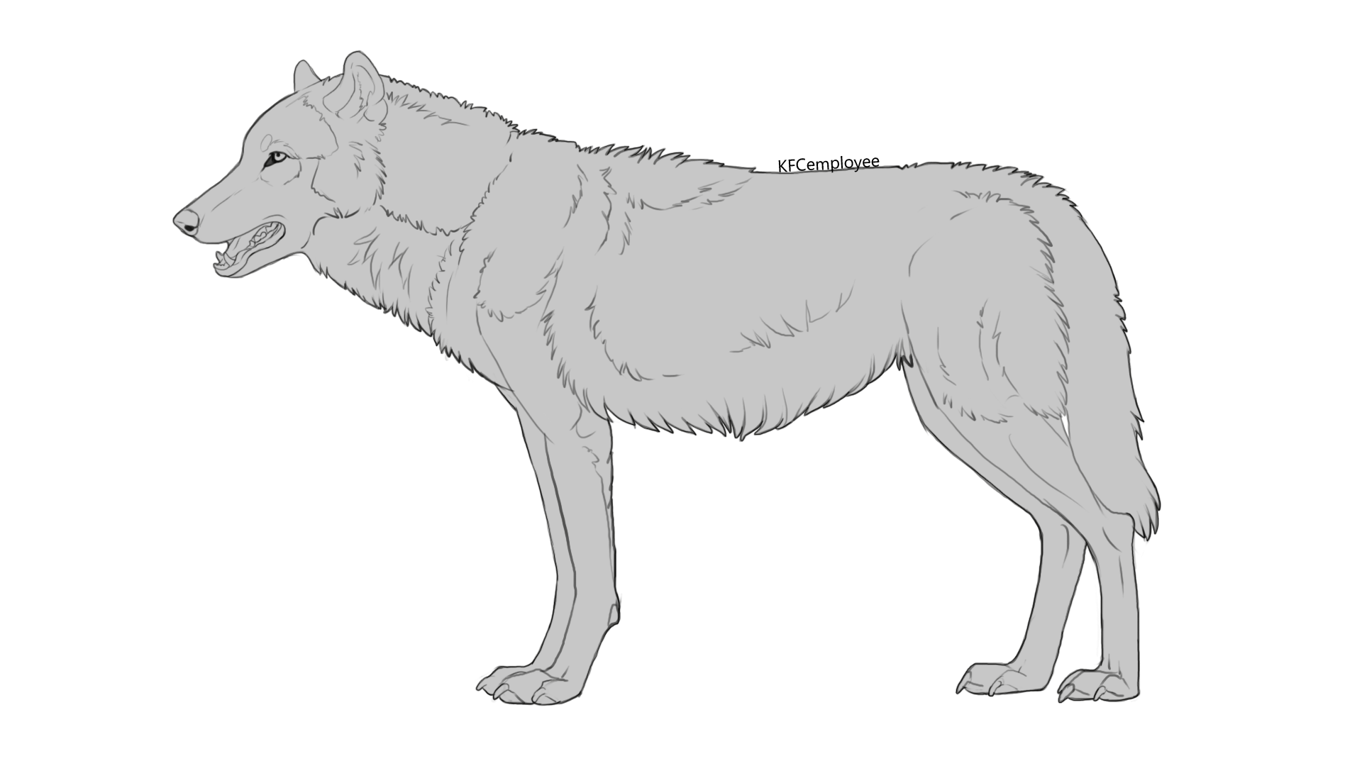 Standing Wolf Lineart (Free, PSD file) by Chickenbusiness on DeviantArt