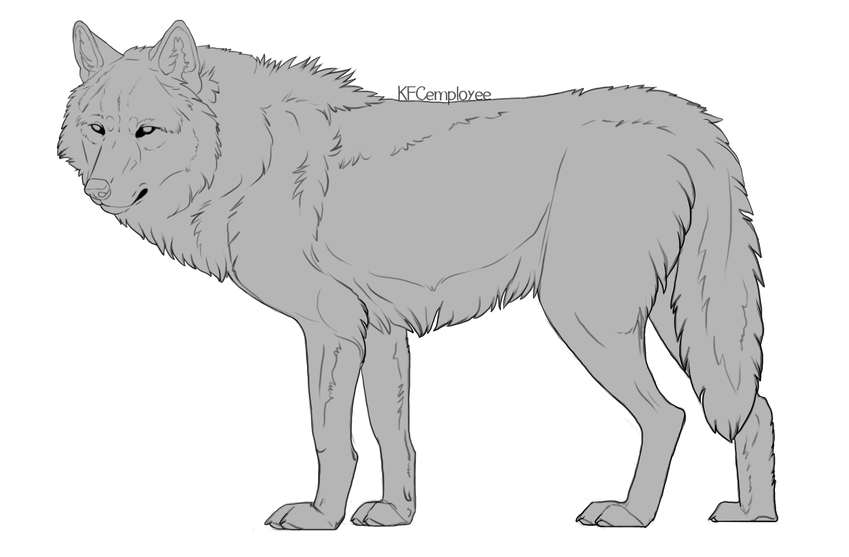 Big hunky wolf lineart  (Free, PSD)