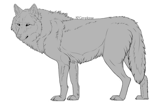 Big hunky wolf lineart  (Free, PSD)