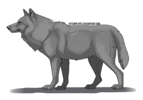 Free shaded wolf lineart by bestfriend KFCemployee