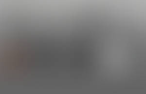 Some brushes I've been using lately