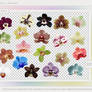 Flowers PNGs PACK  #004 by Nhela