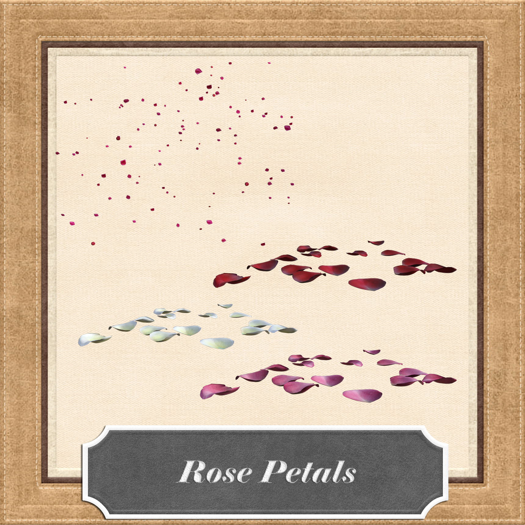 Rose Petals Pack by EverildWolfden on DeviantArt