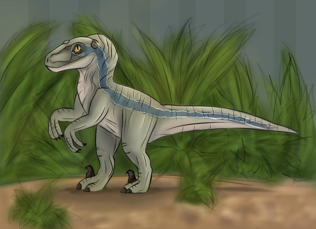 Jurassic World Blue the Velociraptor by dinosauralicia on DeviantArt