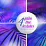 Palm Tree Textures Pack