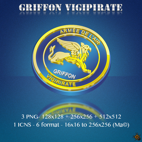 Griffon Vigipirate Armee de Air