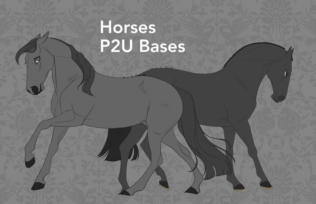 Horse bases 2025 by Emii-M on DeviantArt
