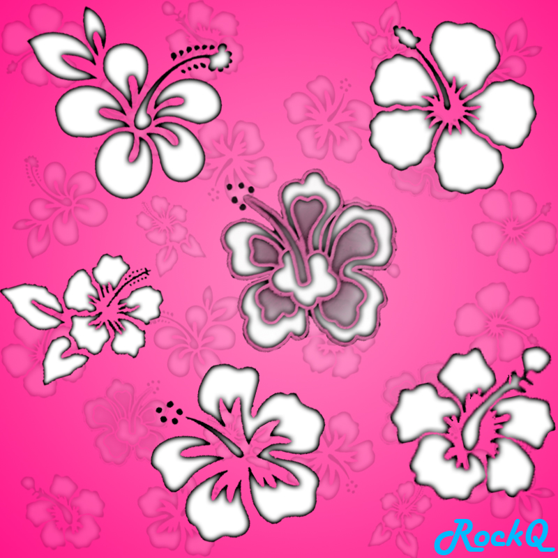 Hawaii brushes
