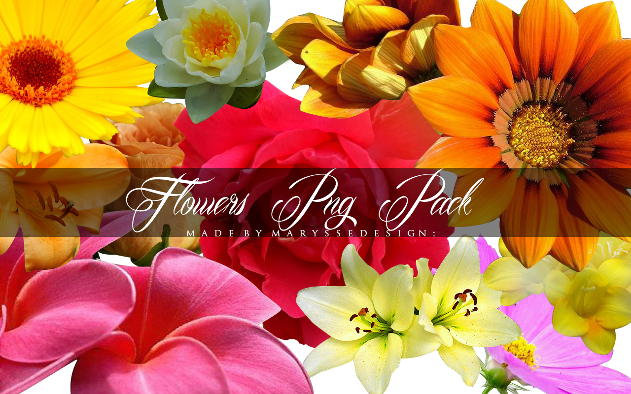 Flowers PNG Pack