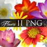 Flowers II PNG Pack