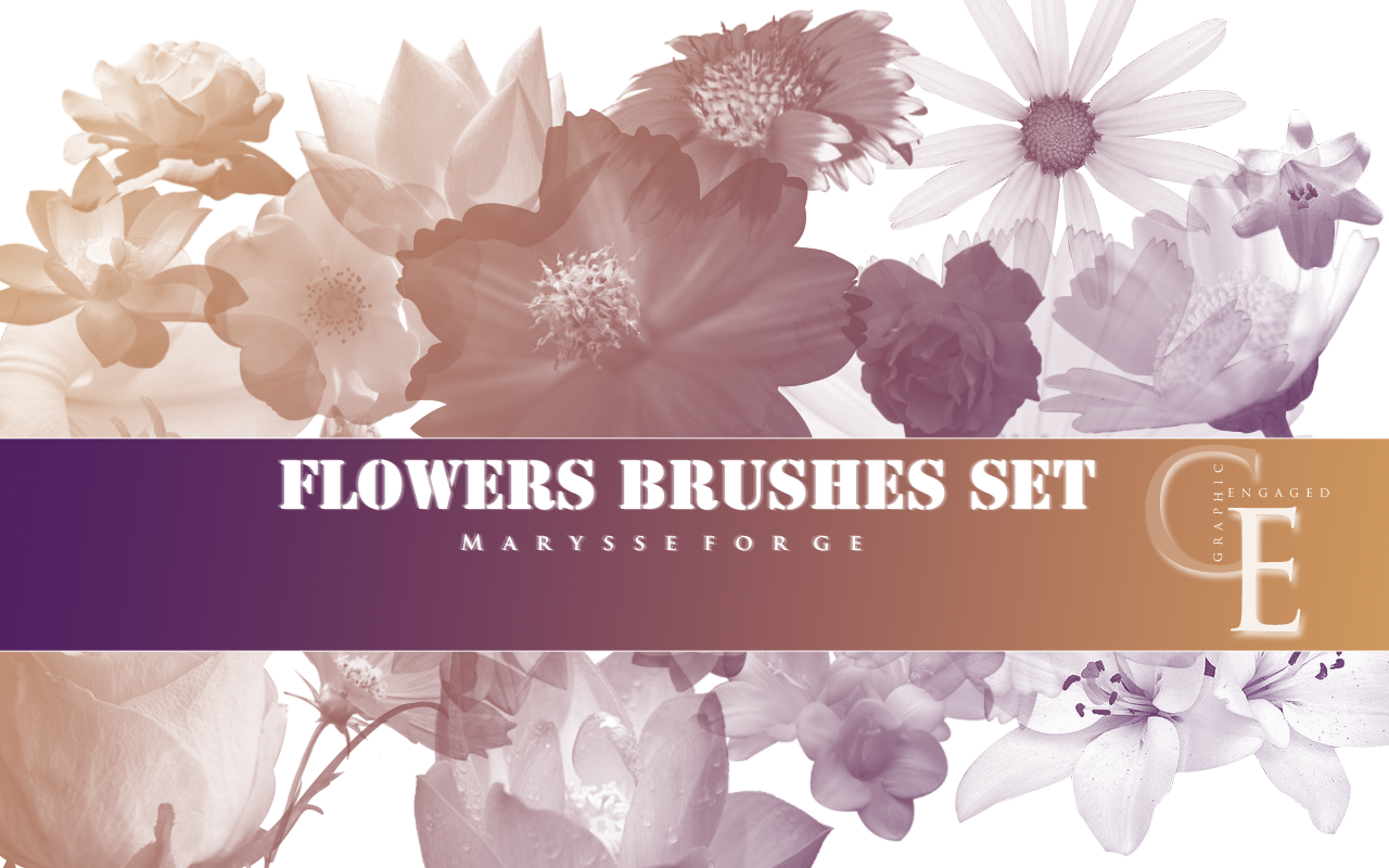 Flowers Brushes set
