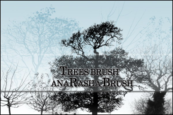 tree brush