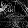 spider web brush 1