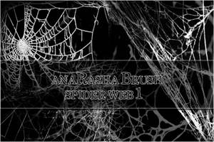 spider web brush 1