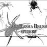 spiders brush