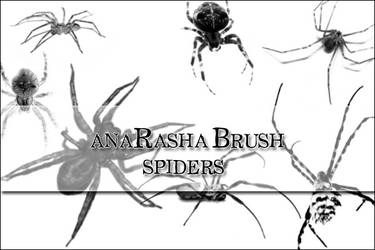 spiders brush