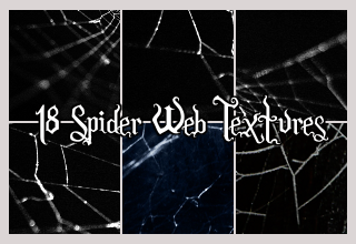 18 Spider Web Icon Textures