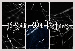 18 Spider Web Icon Textures