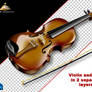 HJR Violin and Bow