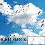 4 Bird Flock Brushes
