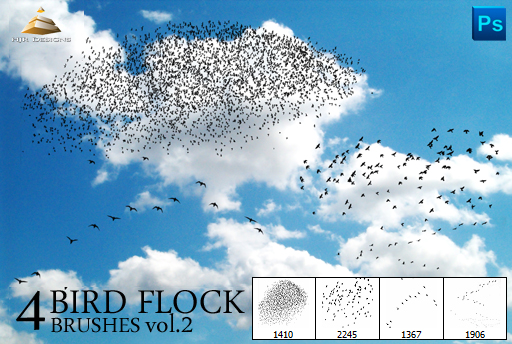 4 Bird Flock Brushes Vol#2