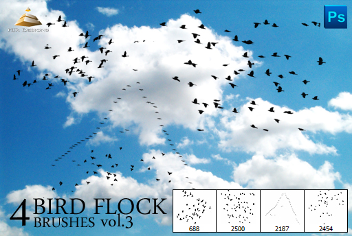 4 Bird Flock Brushes Vol#3