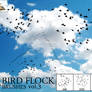 4 Bird Flock Brushes Vol#3