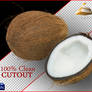 Clean Cutout of a Coconut