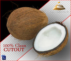 Clean Cutout of a Coconut
