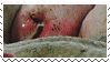 Boycott Factory Farms Stamp by gescheitert