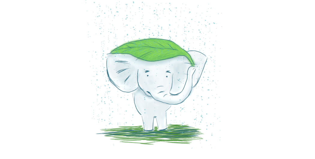 elephant in the rain