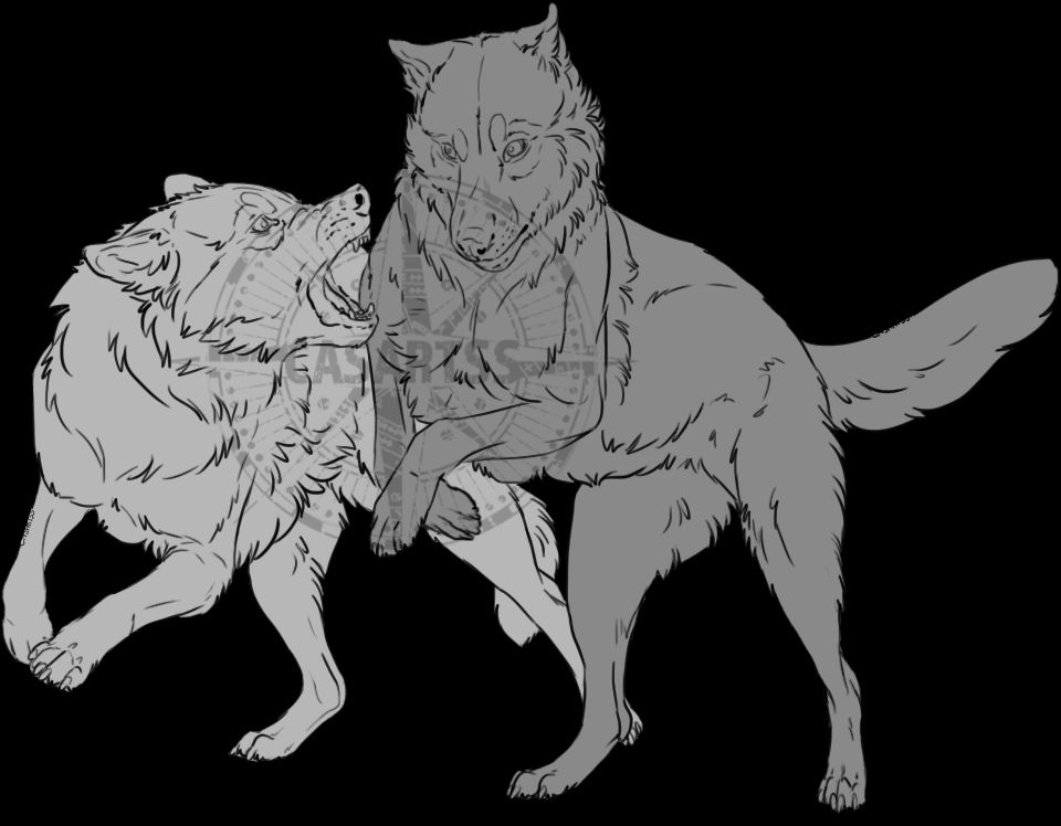 FREE Wolf Line Art by CasArtss on DeviantArt