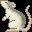 Cursor - rat husky dark