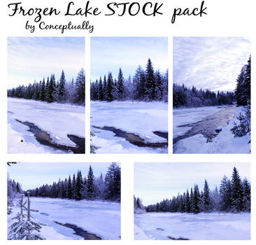 frozen lake STOCK pack by conceptually