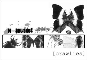 m-brush04-crawlies