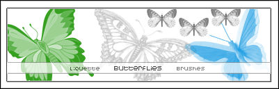 Butterflies